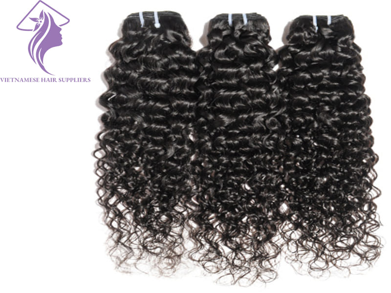 Burmese-curly-hair