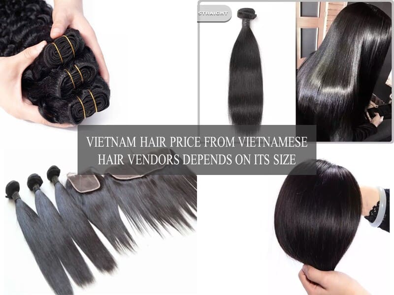 Vietnam-Hair-Price-4