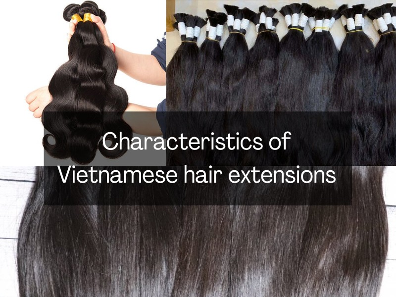 Vietnamese-hair-extensions