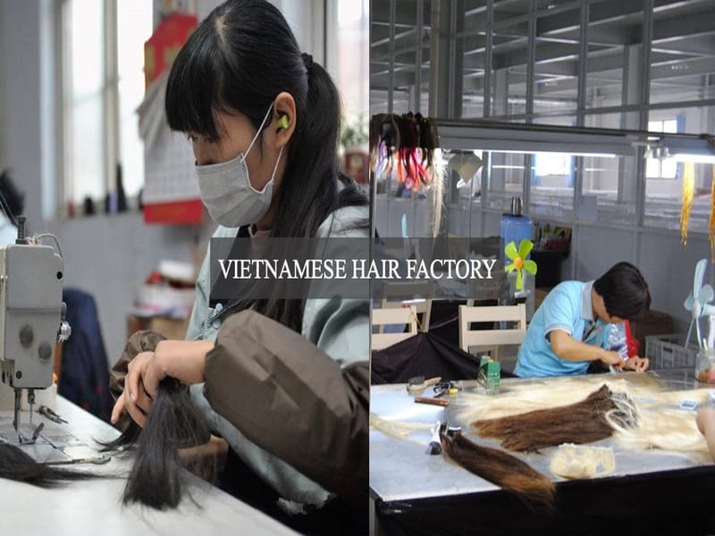 Vietnamese-hair-factory