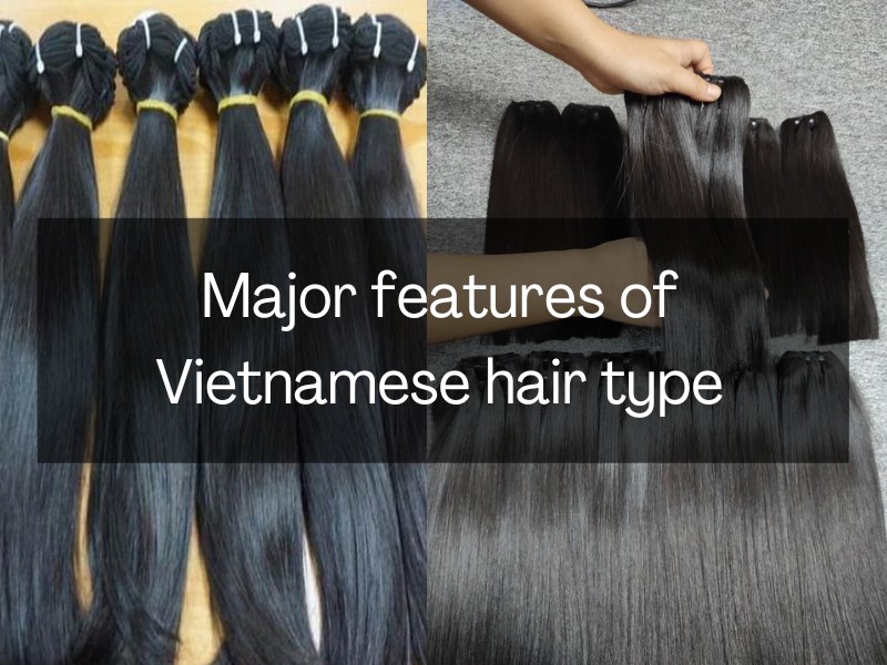 Vietnamese-hair-type