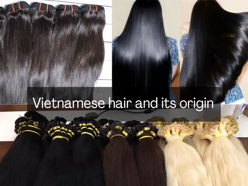 Vietnamese-hair-vs-Indian-hair