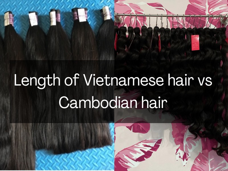 Vietnamese-hair-vs-cambodian-hair