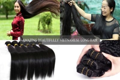 Vietnamese-long-hair-1