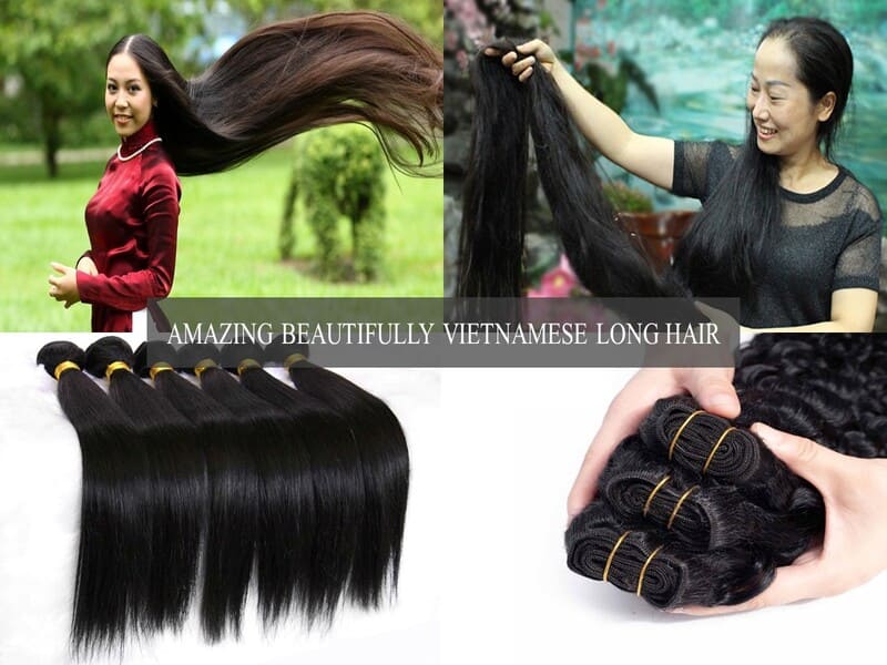 Vietnamese-long-hair-1