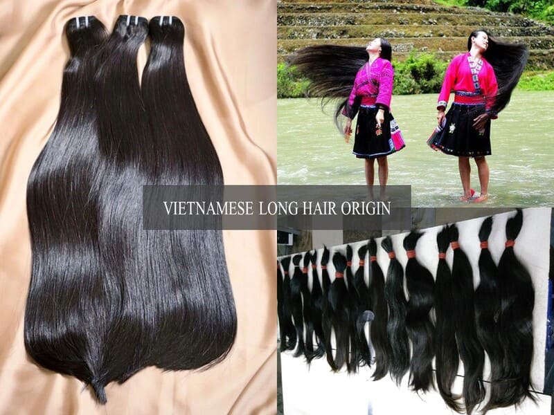 Vietnamese-long-hair-2