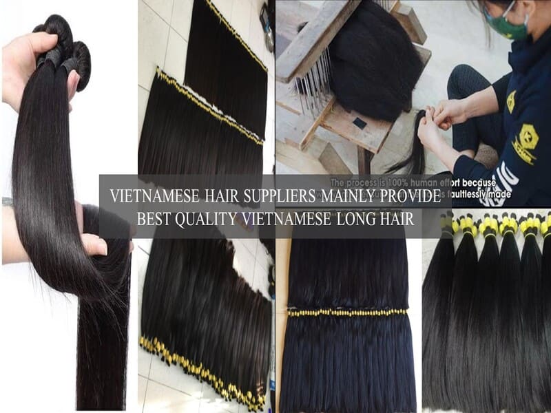 Vietnamese-long-hair-4