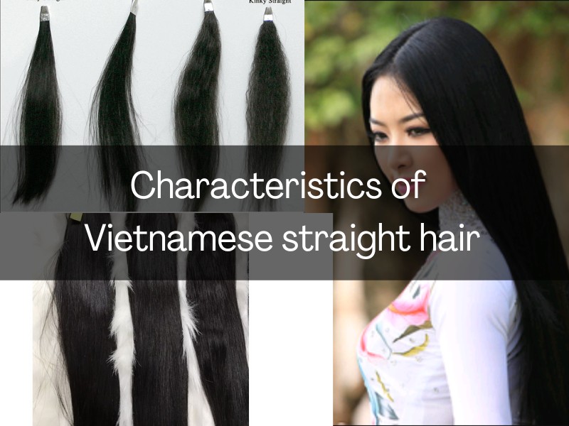Vietnamese-straight-hair