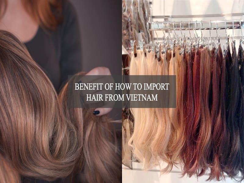 how-to-import-hair-from-Vietnam-3