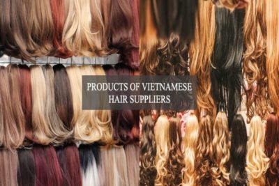 products-of-Vietnamese-hair-suppliers