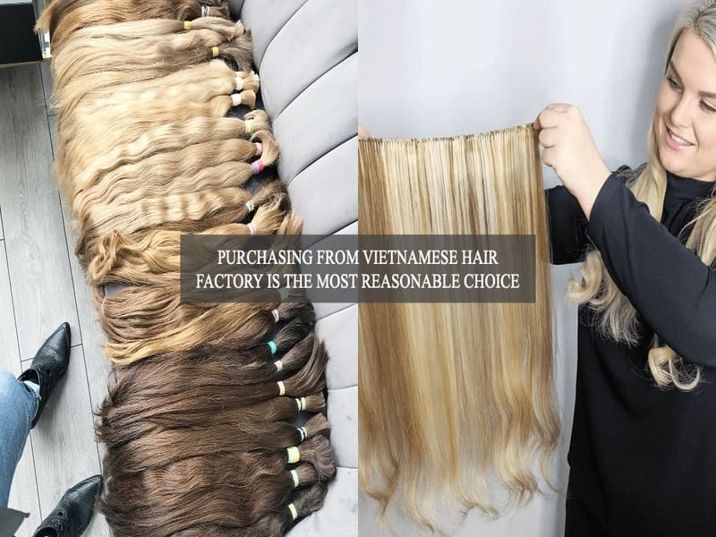 purchasing-from-Vietnamese-hair-factory-is-the-most-reasonable-choice