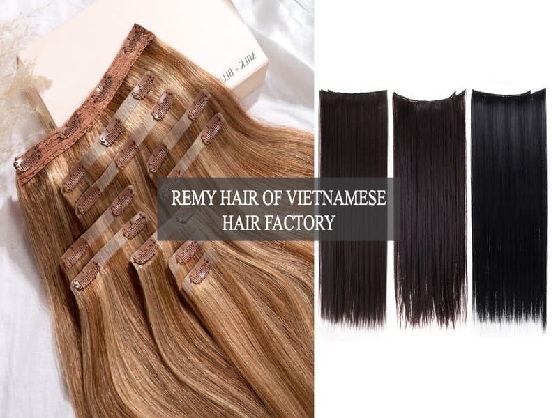 remy-hair-of-Vietnamese-hair-factory