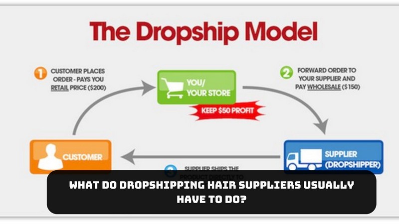 dropshipping hair suppliers