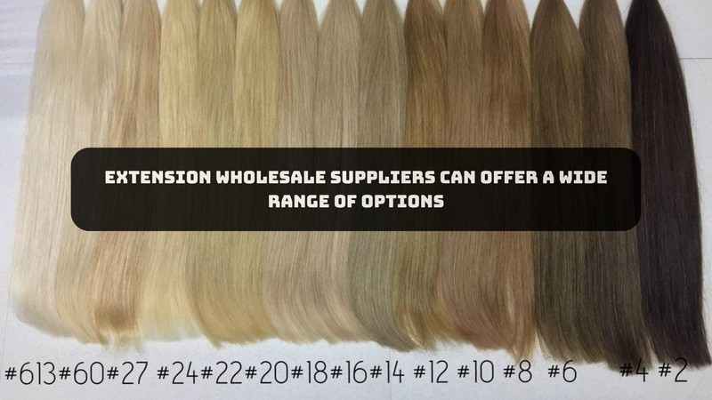 hair extension suppliers